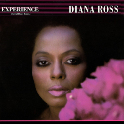 Experience - Ross Diana