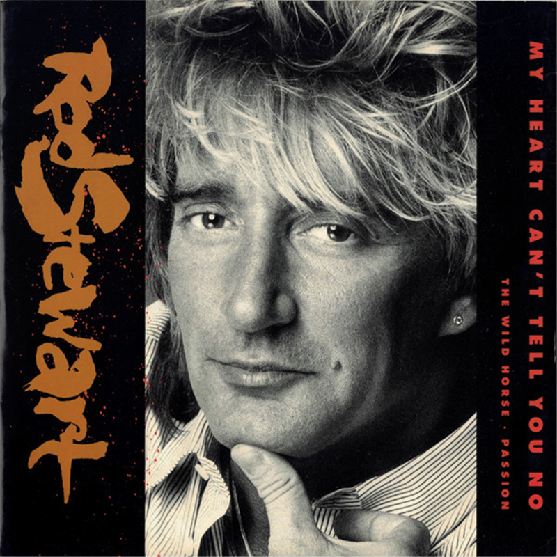 My heart can't tell you no - Stewart Rod