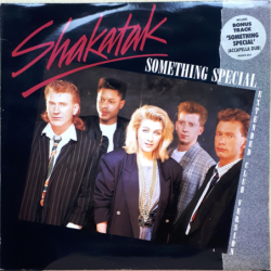 Something Special (Extended Club Version) - Shakatak