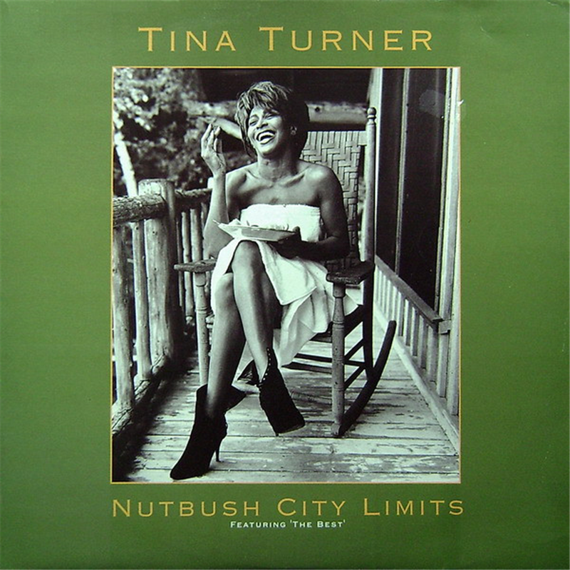 Nutbush city limits - The 90's Version - Turner Tina