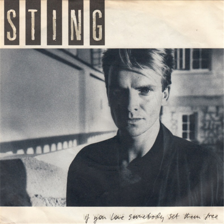 If you love somebody - Sting