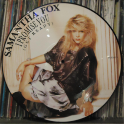 I promise you - Fox Samantha