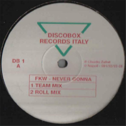 Never Gonna - FKW