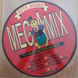 Hits House Megamix - Artisti Vari