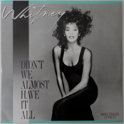 Didn't we almost have it all - Houston Whitney