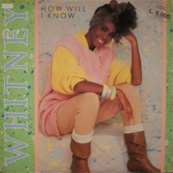 How will I know - Houston Whitney