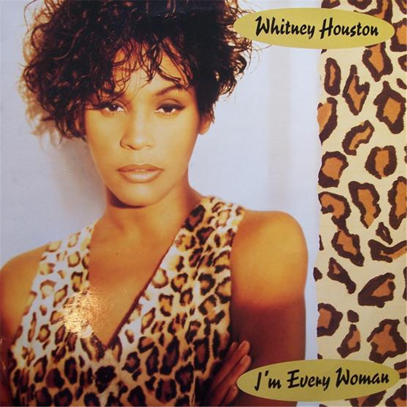 I'm every woman - Houston Whitney