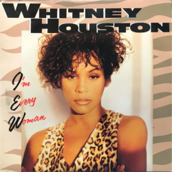 I'm every woman - Houston Whitney